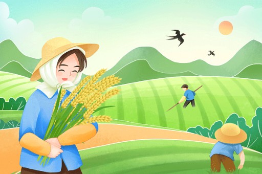 普林斯顿大学计算机科学硕士详解
